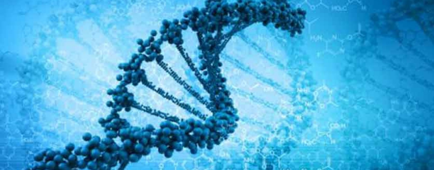 The New Gene Mutation Technology