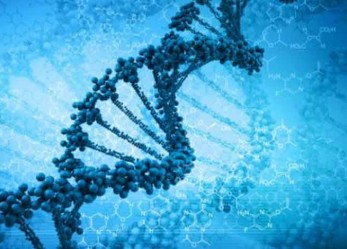 The New Gene Mutation Technology