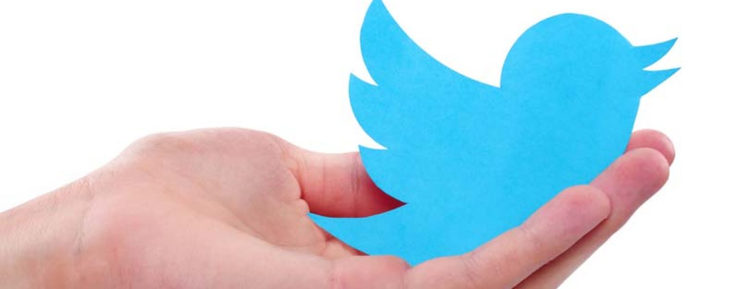 Twitter Terminates Access to Surveillance Materials for Client Privacy