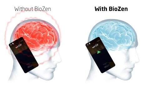 BioZen Chip