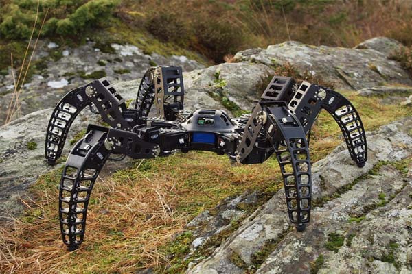 The Design Of The Spider Robot