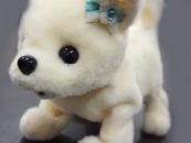 Little Robot Dog Will Sniff & Help You To Remove The Stink From Feet