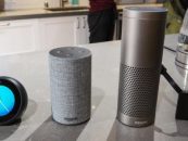 Amazon Doubles Echo Hardware Albeit They Rely On Third Parties For It